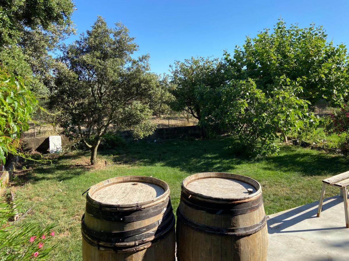 Gite A La Ferme Clansayes Eksteriør billede
